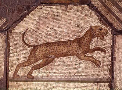 Ein Leopard, Detail aus Orpheus bezaubert die Tiere von Roman